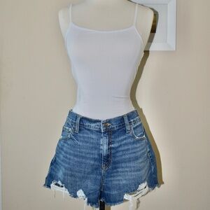 Aerie Dark Wash Daydream Denim Short